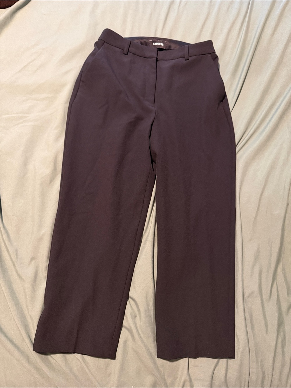 Express Women’s Editor Straight Petite Dress Pant